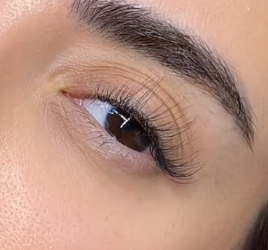 Volume lash transformation in JVC